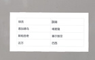 國(guó)安無(wú)三外援大勝泰山五外援，重現(xiàn)奪冠風(fēng)采