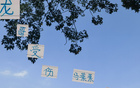 蔣內(nèi)傷，大連賽，馬艾誰得機？