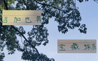 蔣內(nèi)傷，大連賽，馬艾誰得機？