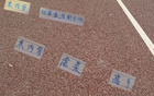 申花米內(nèi)羅13輪最佳搭配劉誠宇，前鋒表現(xiàn)決定勝負。