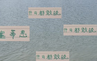 北京國安教練摔瓶，訓(xùn)練環(huán)境差，張玉寧情況曝光。