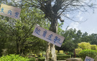 米內(nèi)羅金靴，申花奪冠，范志毅95年輝煌再現(xiàn)。