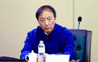 王小平：外援停賽5場，足協(xié)追加至8場
