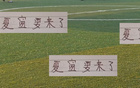 中超前四外援換人可能，海港加布里、申花路易斯面臨調(diào)整壓力。