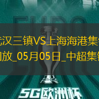 中超第11輪武漢三鎮(zhèn)vs上海海港進(jìn)球視頻