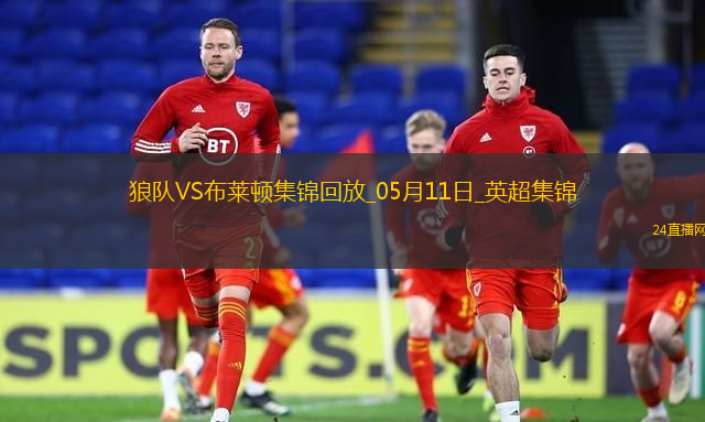 英超-維爾貝克破門布萊頓客場(chǎng)2-0勝狼隊(duì)