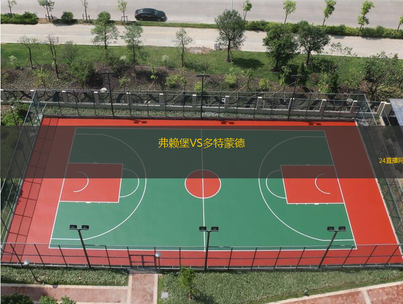 弗賴堡VS多特蒙德