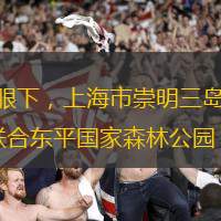 本網(wǎng)訊 記者李斌 通訊員黃海華報(bào)道  眼下，上海市崇明三島春意正濃，2025年崇明花朝節(jié)即將開幕。3月21日，崇明區(qū)消防救援支隊(duì)聯(lián)合東平國家森林公園，開展“321GO！消防科普 citywalk”活動(dòng)