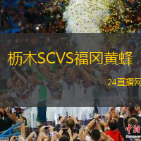櫪木SCVS福岡黃蜂