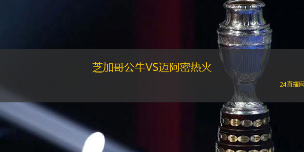 芝加哥公牛VS邁阿密熱火