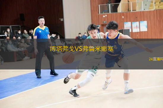 博塔弗戈VS弗魯米嫩塞