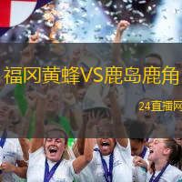福岡黃蜂VS鹿島鹿角