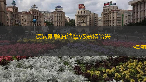 德累斯頓迪納摩VS翁特哈興