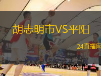 胡志明市VS平陽
