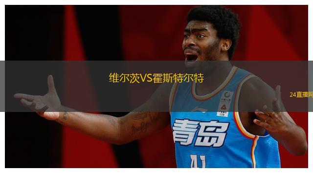 維爾茨VS霍斯特爾特