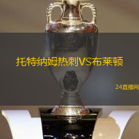 托特納姆熱刺VS布萊頓