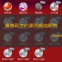 桑德菲杰VS斯托姆加斯特