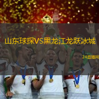山東球探VS黑龍江龍躍冰城